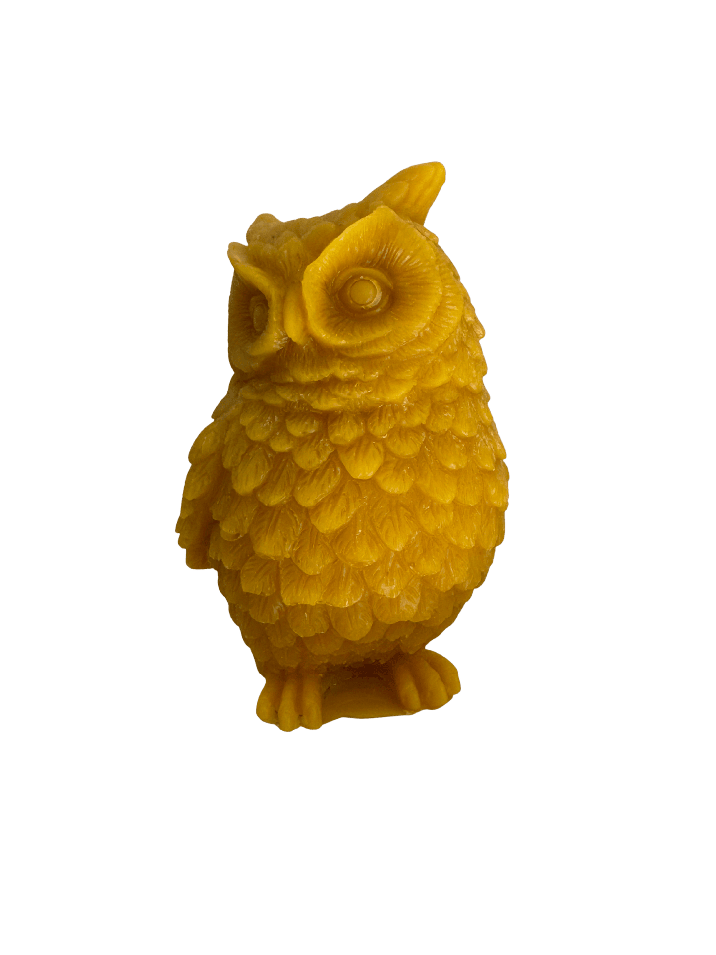 Owl Beeswax Candle - Bitterroot Buzz Bees