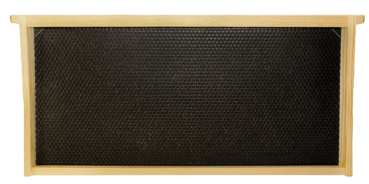 9 1/8" Assembled Frame with Single Wax Coat - Bitterroot Buzz Bees