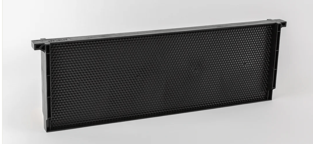 Acorn One - Piece Plastic Bee Frames - Bitterroot Buzz Bees