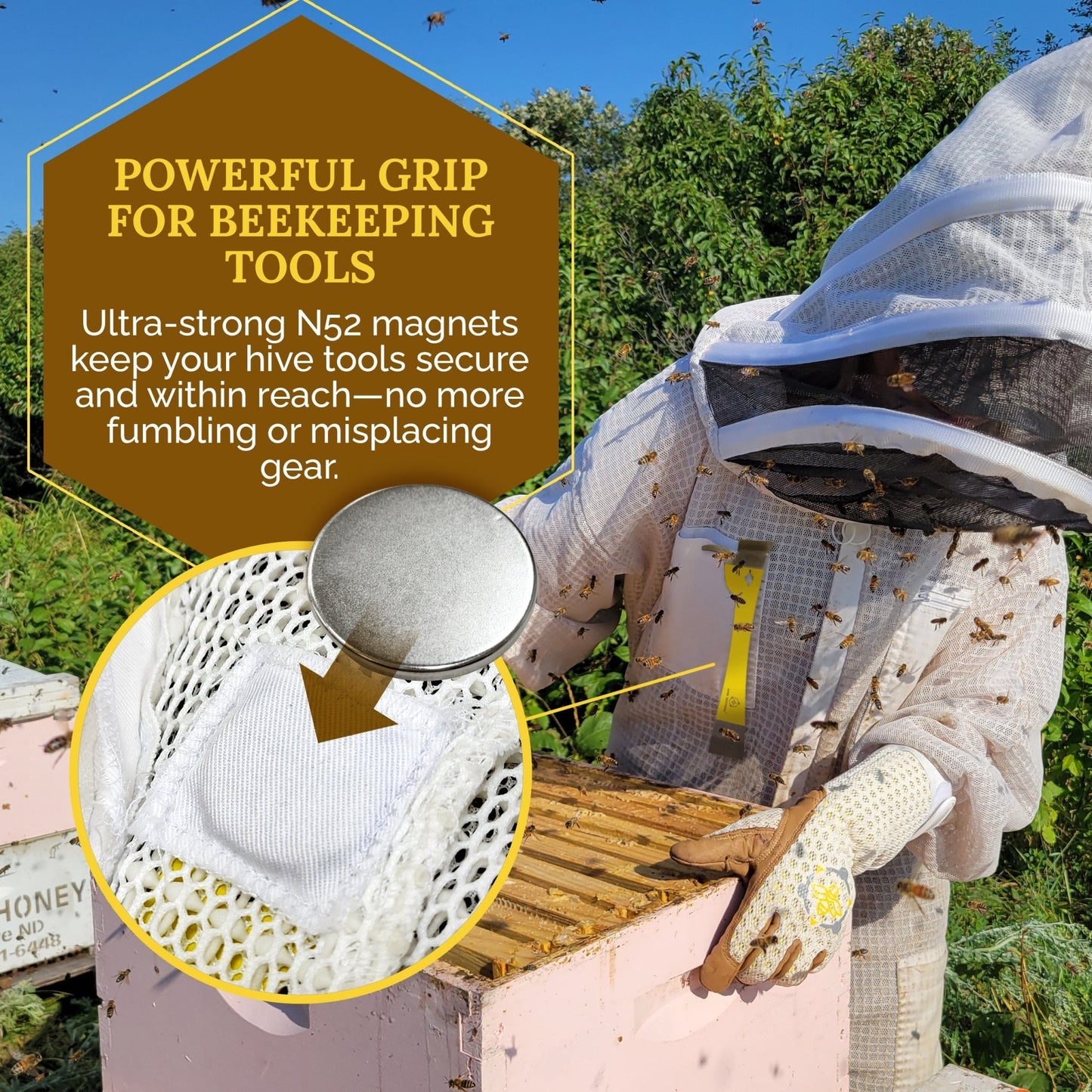 Apis Tactical - Neodymium Magnet Accessory Kit - N52 Small, Circular Magnetic Discs - Strong Magnets 6 Pack - Bitterroot Buzz Bees