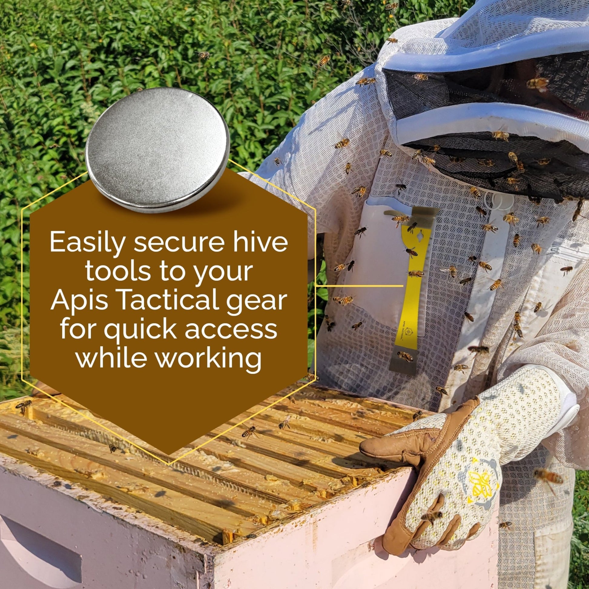 Apis Tactical - Neodymium Magnet Accessory Kit - N52 Small, Circular Magnetic Discs - Strong Magnets 6 Pack - Bitterroot Buzz Bees