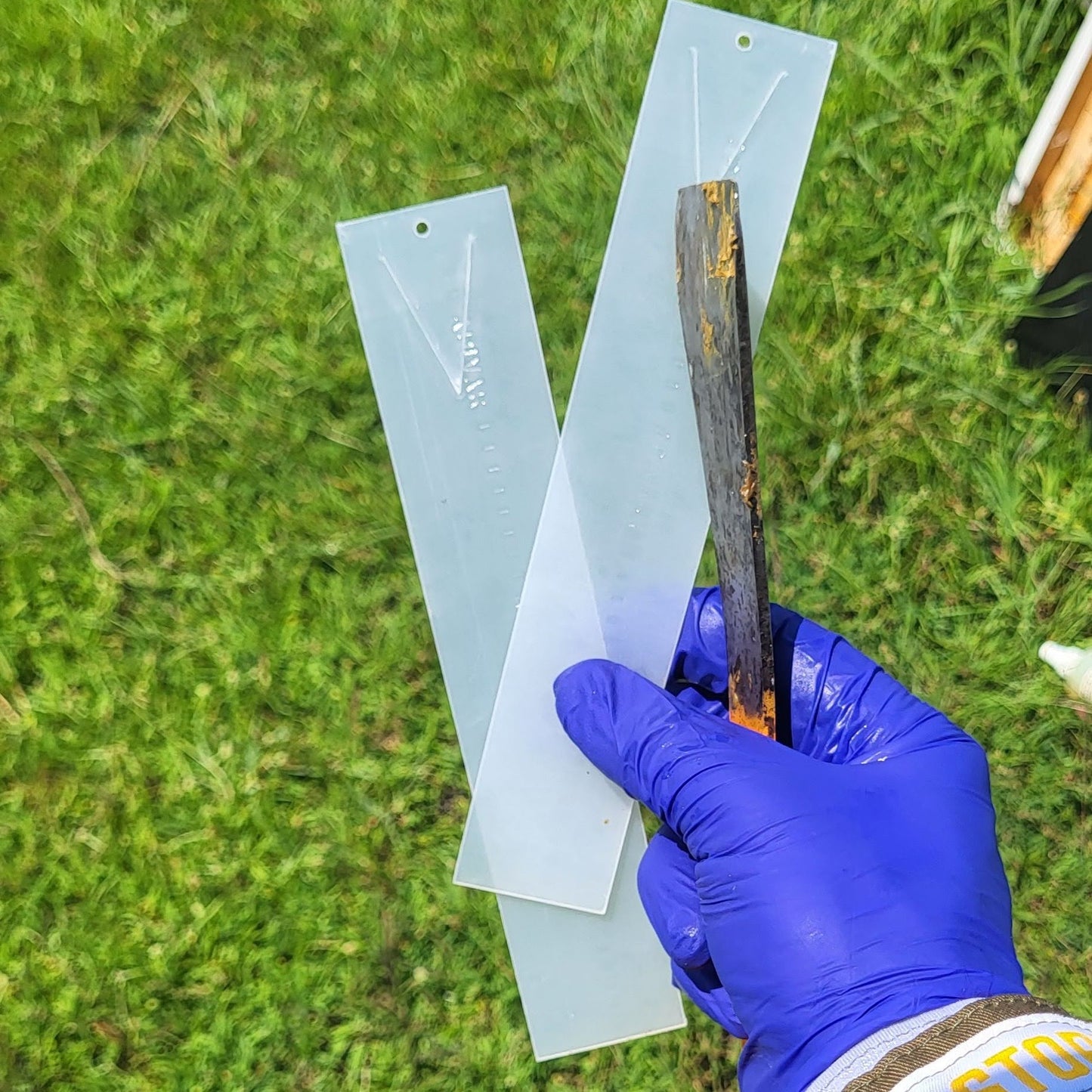 Apivar Original + Apivar 2.0 Varroa Mite Strips - Bitterroot Buzz Bees