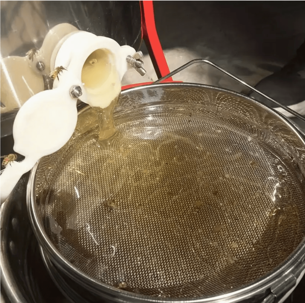 Double Stainless Steel Honey Strainer - Adjustable Beekeeping Sieve with Dual Mesh Filters for Pure Honey - Bitterroot Buzz Bees