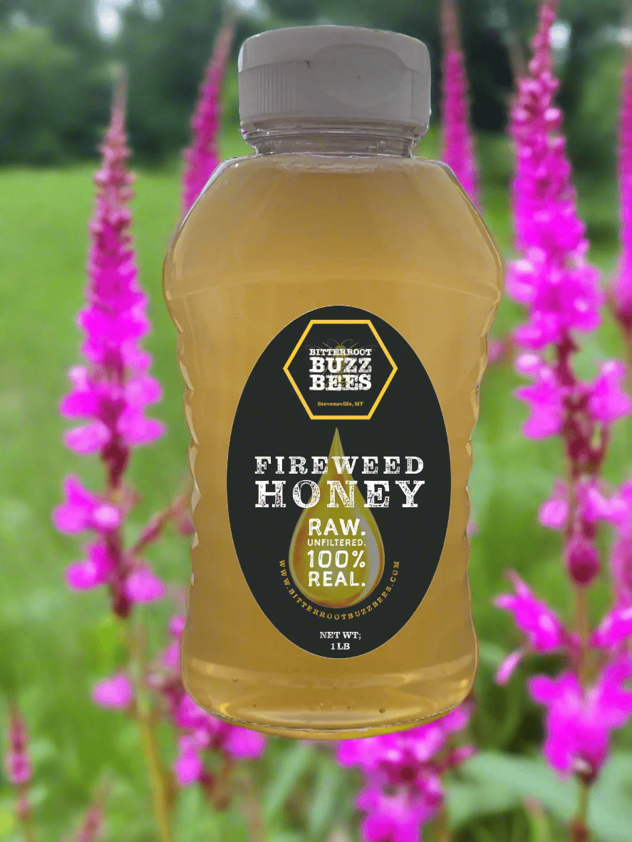 Fireweed Raw Honey (Squeeze Jars) - Bitterroot Buzz Bees