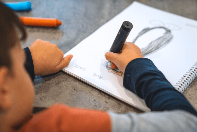 Honeysticks Super Jumbos 12 Pack - Bitterroot Buzz Bees