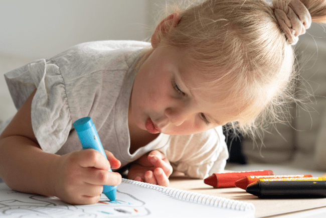 Honeysticks Super Jumbos 12 Pack - Bitterroot Buzz Bees