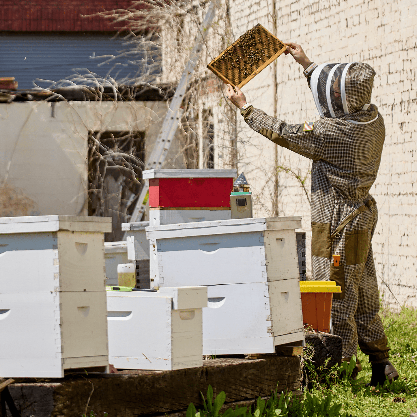 Professional Triple Layer Ventilated Full Beekeeping Suit - Bitterroot Buzz Bees