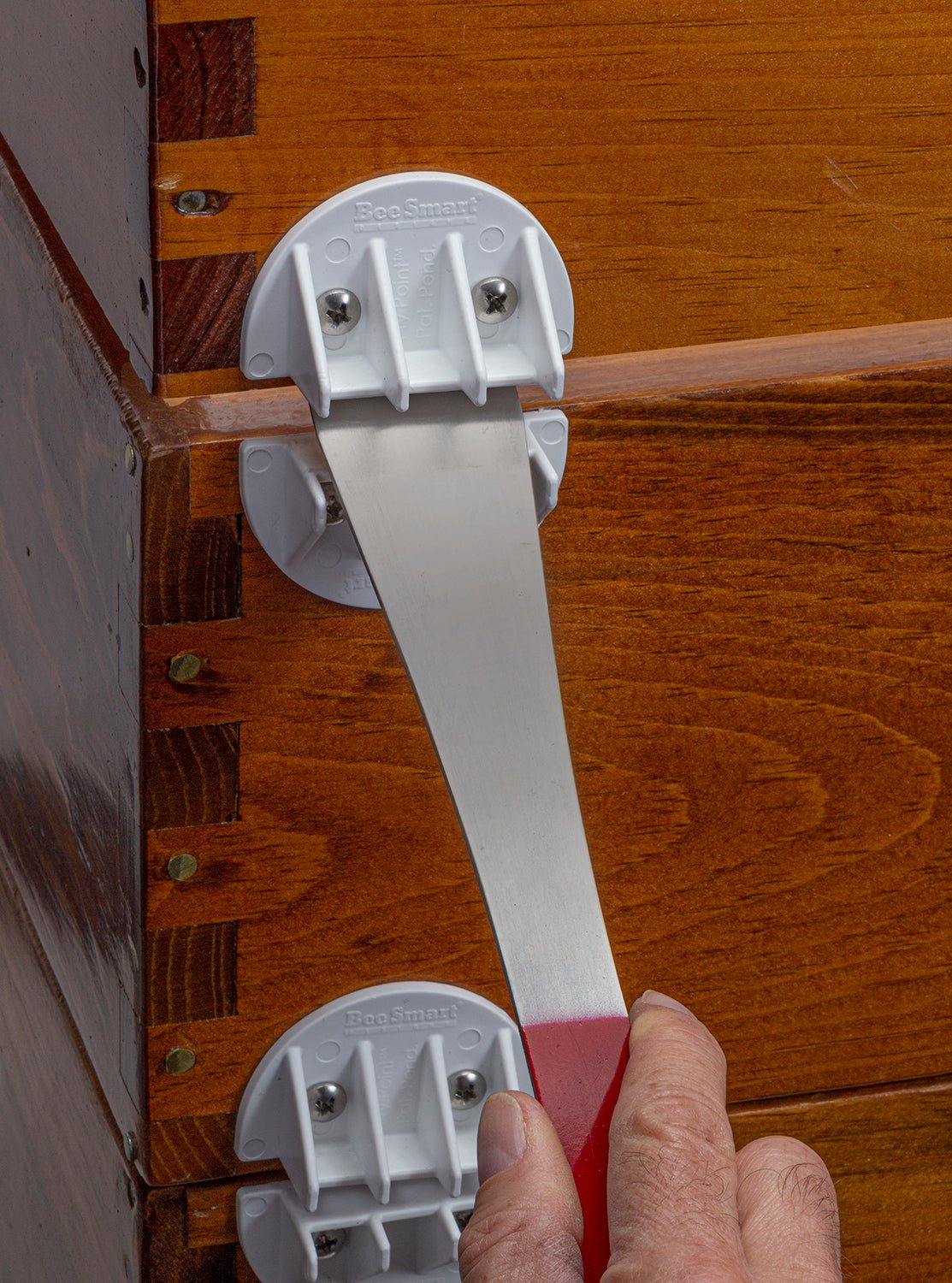 The Ultimate Pry Point™ 5 Pairs - Bitterroot Buzz Bees