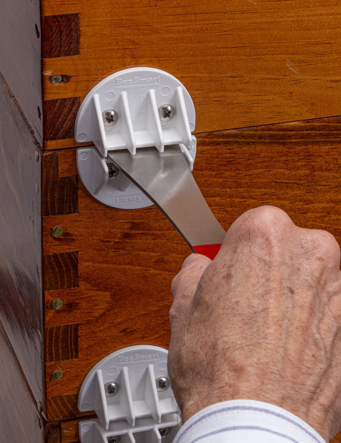 The Ultimate Pry Point™ 5 Pairs - Bitterroot Buzz Bees