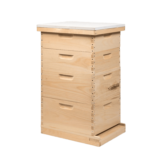 Traditional Growing Apiary Kit - 10 Frame - Bitterroot Buzz Bees