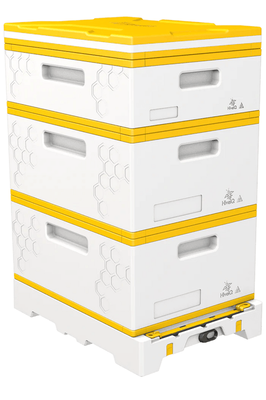 USA Hive Kit - Bitterroot Buzz Bees