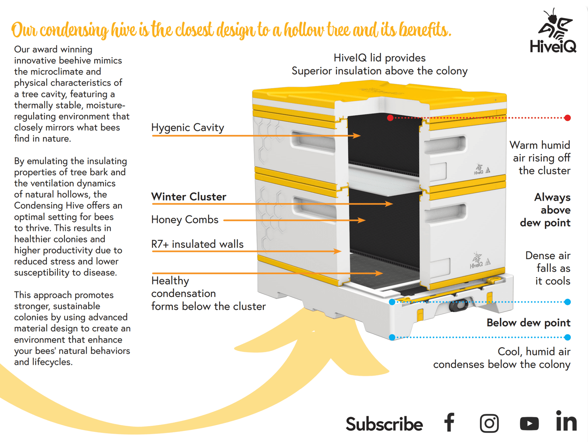 USA Hive Kit - Bitterroot Buzz Bees