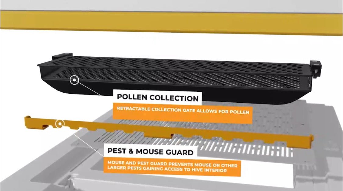 USA Hive Kit - Bitterroot Buzz Bees