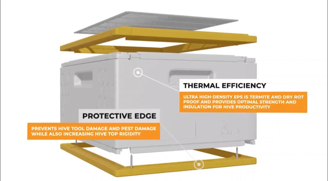 USA Hive Kit - Bitterroot Buzz Bees