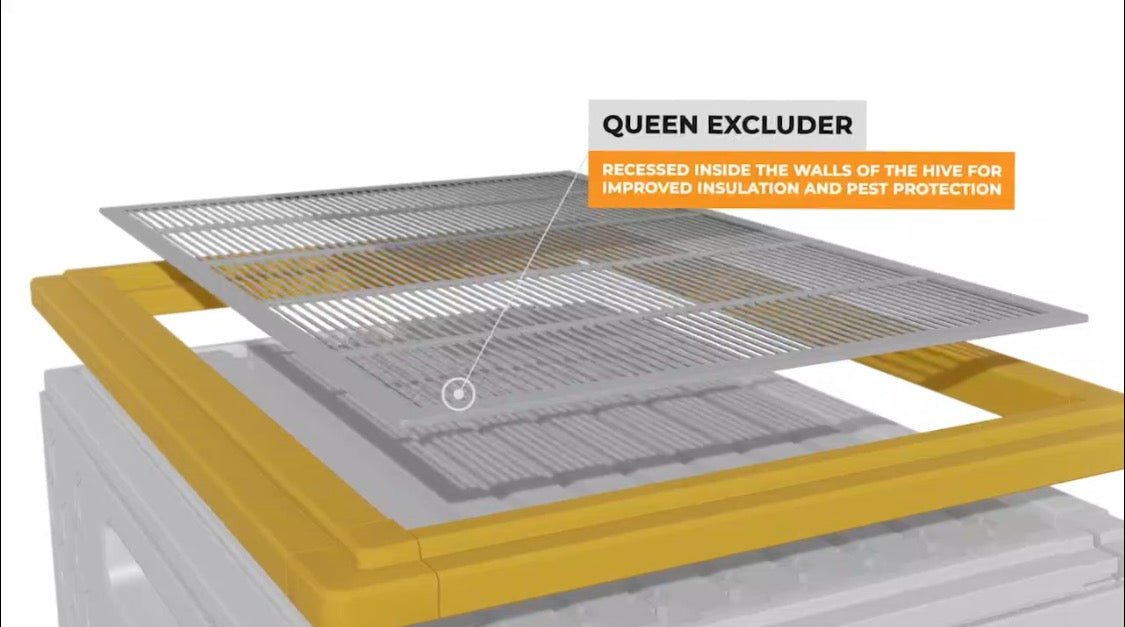 USA Hive Kit - Bitterroot Buzz Bees