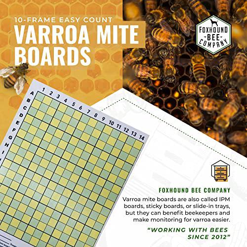 Varroa Mite Board - Bitterroot Buzz Bees